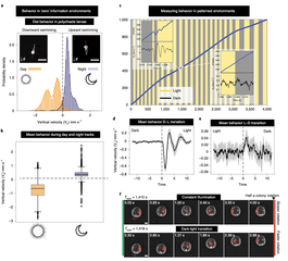 Graphical abstract for Scale-free vertical tracking microscopy