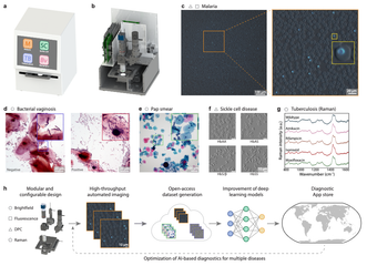Graphical abstract for Octopi 2.0: Open and Scalable Microscopy Platform for AI-powered Diagnostic Applications