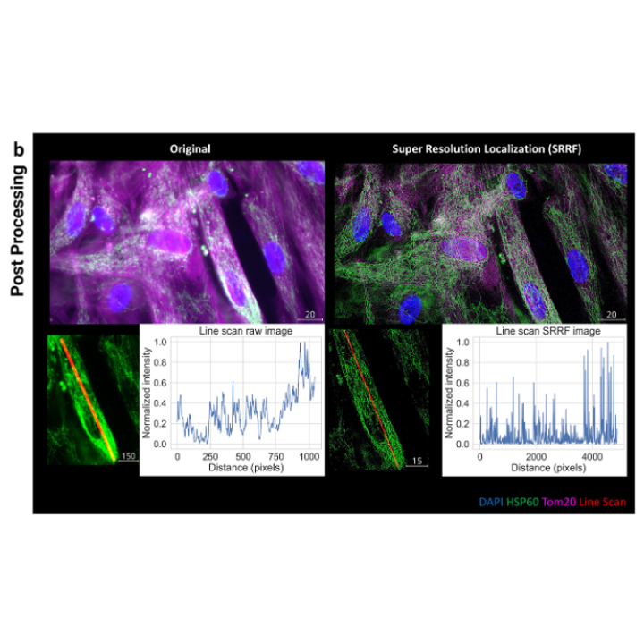 Graphical abstract for Modular, open-sourced multiplexing for democratizing spatial omics